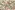 Polyester stof - jacquard - bloemetjes - gebroken wit - 22768-025