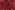 Polyester stof - jacquard - bloemen - rood - 4529-002