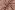Mousseline-Stoff – Tiermuster & Herzchen – hellrosa – 27/25332-012