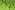 Katoenen stof - mix - lime - JT359