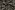 Geruite stof - bruin - 24210-054