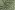 Tricot stof - punta di roma - retro - groen - JT335