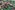 Tricot stof - ribtricot - dierenprint - roze/groen - JT336
