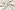 Katoenen stof - poplin - vogels - gebroken wit - 27/25620-051