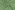 Stretch stof - fantasie - groen - JT330