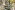 Jersey – Dschungel – Multicolor – JT326