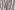 Katoenen stof - mix - yarn dyed stripes - aubergine - 3171-005