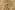 Katoenen stof - poplin - vogels & bloemen - beige - 60690-052