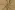 Katoenen stof - poplin - bloemetjes - beige - 60694-052