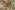 Polyester stof - bubble - bloemen - limoen - 23036-023