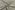 Tricot stof - ribtricot - strepen - beige - 25421-052