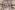 Karierter Stoff – Polyester – beige – JT881