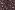Katoenen stof - poplin - digitaal bosdieren - bordeaux - 2071-010