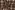 Geruite stoffen - geborsteld en garengeverfd - beige - 4797-002