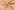 Mousseline stof - aardbeien - 25349-014
