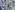Texture stof - bloemen - lavendel - JT862