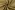 Waterafstotende stof - trenchcoat - beige - 60213-052