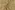 Katoenen stof - poplin - bladeren - beige - 60692-052
