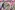 Viscose stof - mix - fantasie dierenprint - multi - JT836