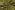Tricot stof - French Terry - bladeren - groen - 24522-027