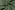 Linnen stof - mix - stone washed - olijfgroen - 2155-226