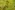 Viscose stof - satijn - digitaal bloemen - groen - 60251-023