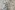 Voile stof - bloemen - zalm - JT813