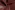 Kunstleer stof - bordeaux - 11350-018