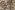 Gebreide stof - boucle - lanissimo kelim - multi - 23193-690