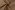 Spijkerstof - denim twill - beige - 4/RS0360-530