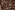 Viscose stof - twill - bladeren - bruin - P24007-540