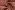 Doorgestikte stof - fluweel - bloemen - roze - 26066-017