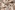 Embroidery stof - mantelstof - swirl firenze - naturel - 23069-098
