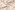 Embroidery stof - swirl firenze - ecru - 23069-035
