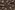 Embroidery stof - antiqua waxed denim - bloemen - donkerbruin - 23064-100