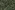 Tricot stof - punta di roma - diamond stars - groen - 23019-307