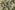 Viscose stof - mix - bladeren - groen - 23039-315