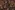 Viscose stof - mix - bloemen - bruin - 23040-100