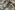 Viscose stof - mix - fantasie - groen multi - 23042-200