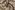 Viscose stof - mix - fantasie - groen multi - 23042-315