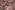 Viscose stof - mix - bloemetjes - lichtroze - 23043-875