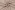 Linnen stof - enzym washed - beige - 0100-172