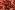 Viscose stof - satijn - abstract - koraal - 26256-013