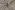 Waterdichte stof - outdoor - UV beschermend - taupe - 4838-001