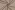 Waterdichte stof - outdoor - UV beschermend - lichtbruin - 4838-003