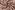 Doorgestikte stof - fluweel - abstract - bordeaux - 33/26065-018