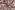 Viscose stof - satijn - bloemen - lichtroze - 2229-001