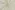 Katoenen stof - voile - dobby stripes - naturel - 4774-062