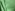 Katoen stof - streep - groen - 5574-025