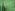 Katoen stof - boerenbont ruit (1 cm) - groen - 5635-025